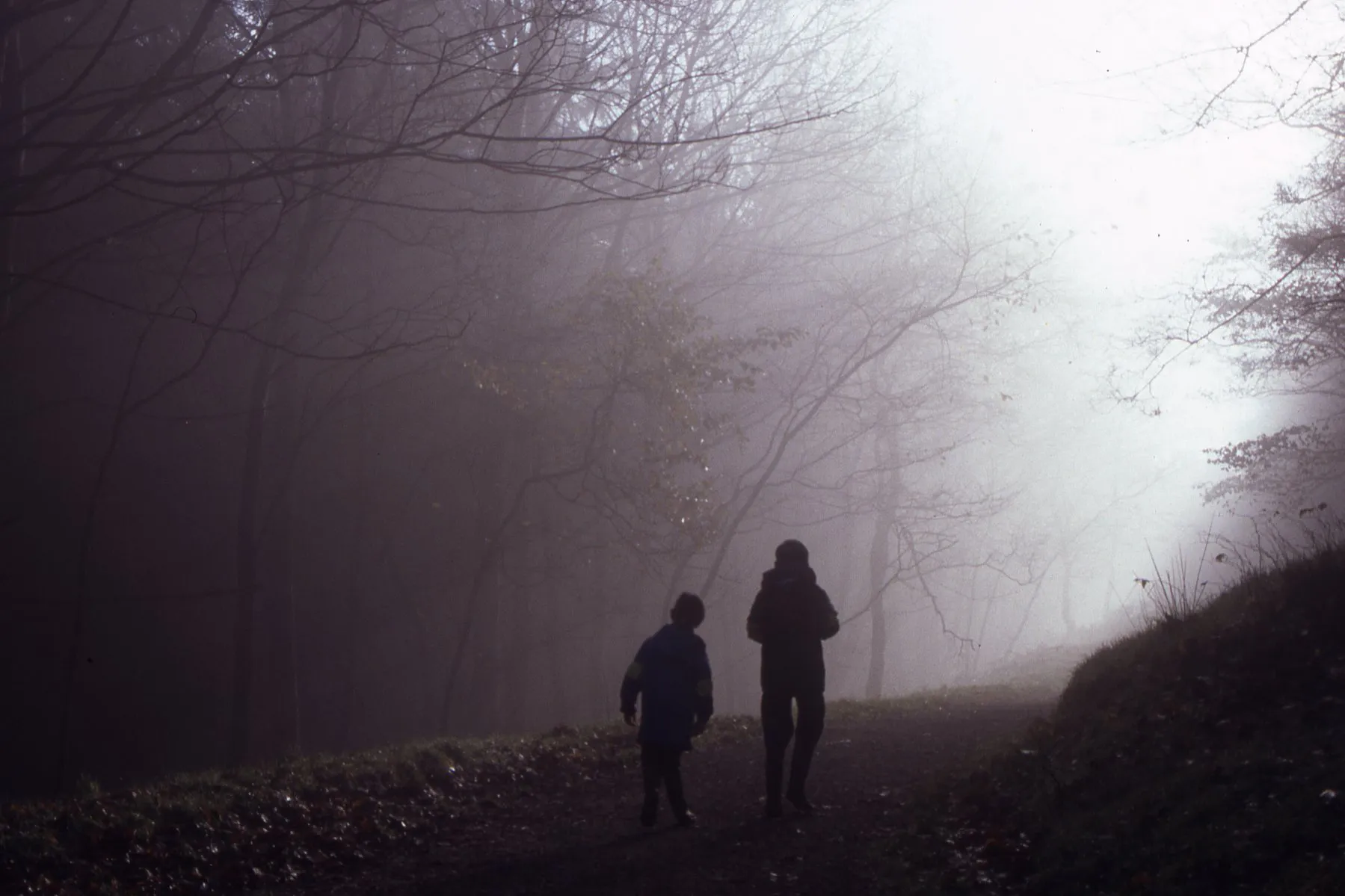 94-732 061194 Stewart & Hannah on path up to Shutlingsloe.jpg