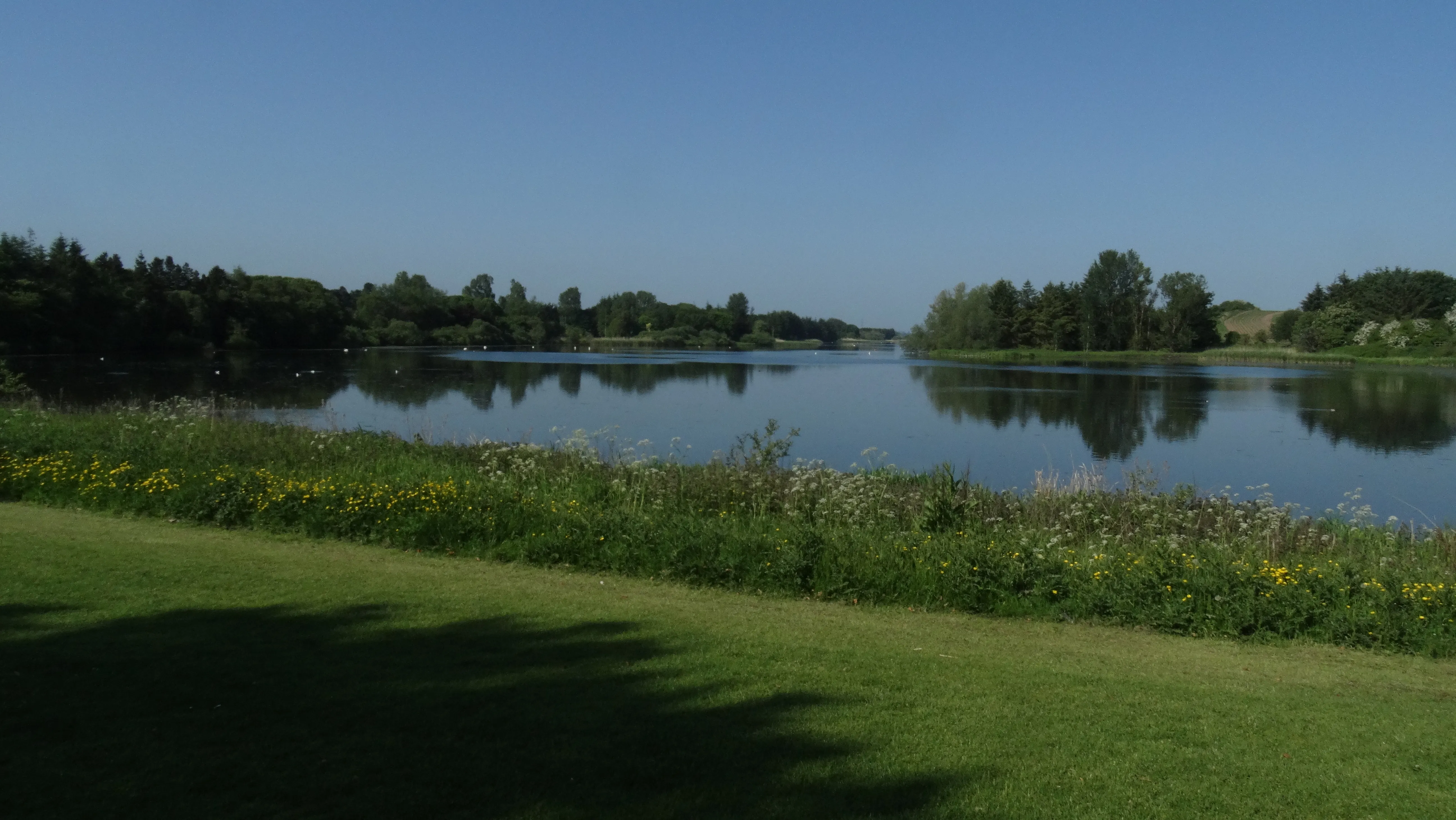 16-1014 060616 Loch of Forfar - View from eastern end