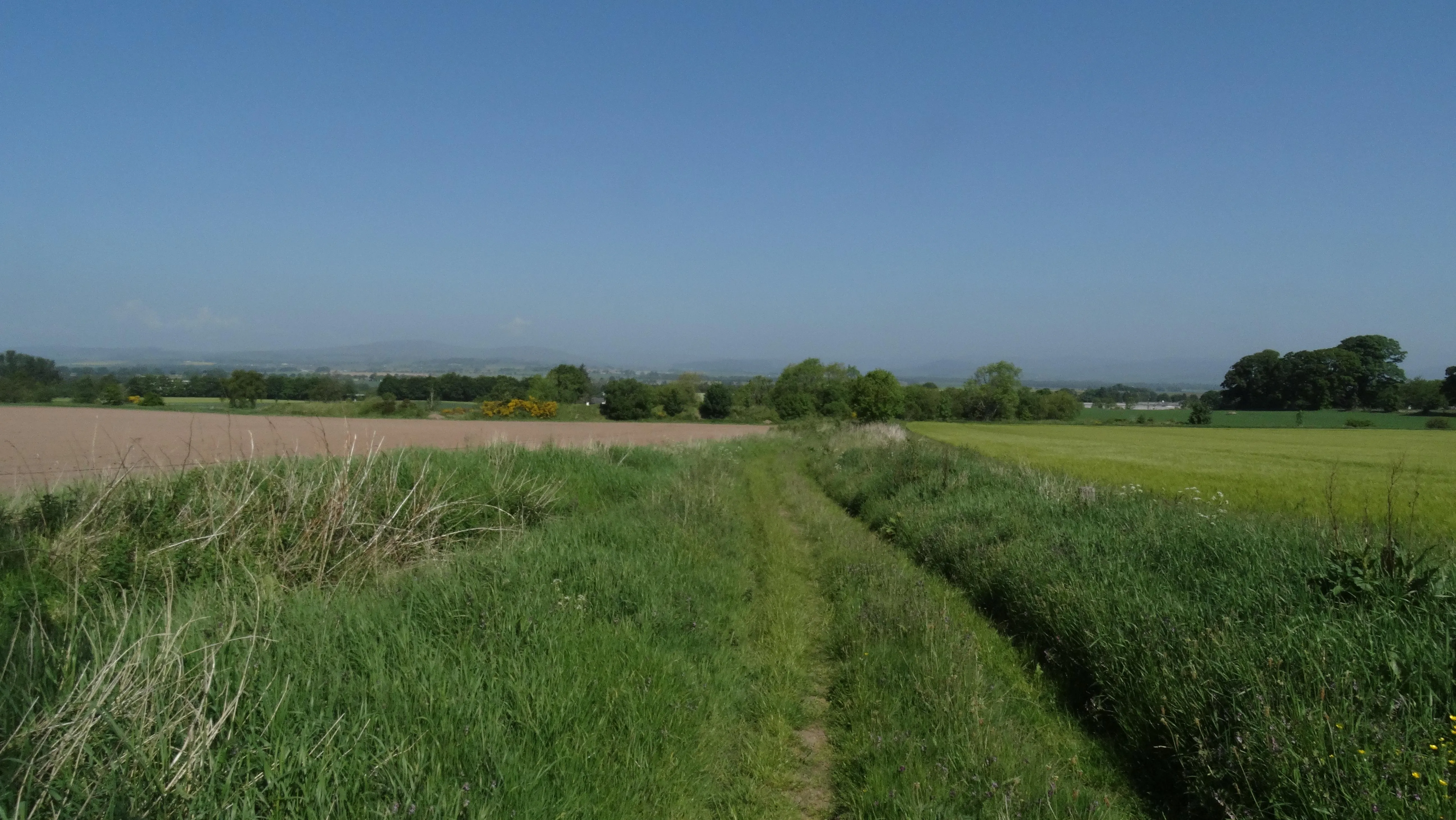 16-1017 060616 Path leading up from Glamis Road towards Halkerton, Forfar