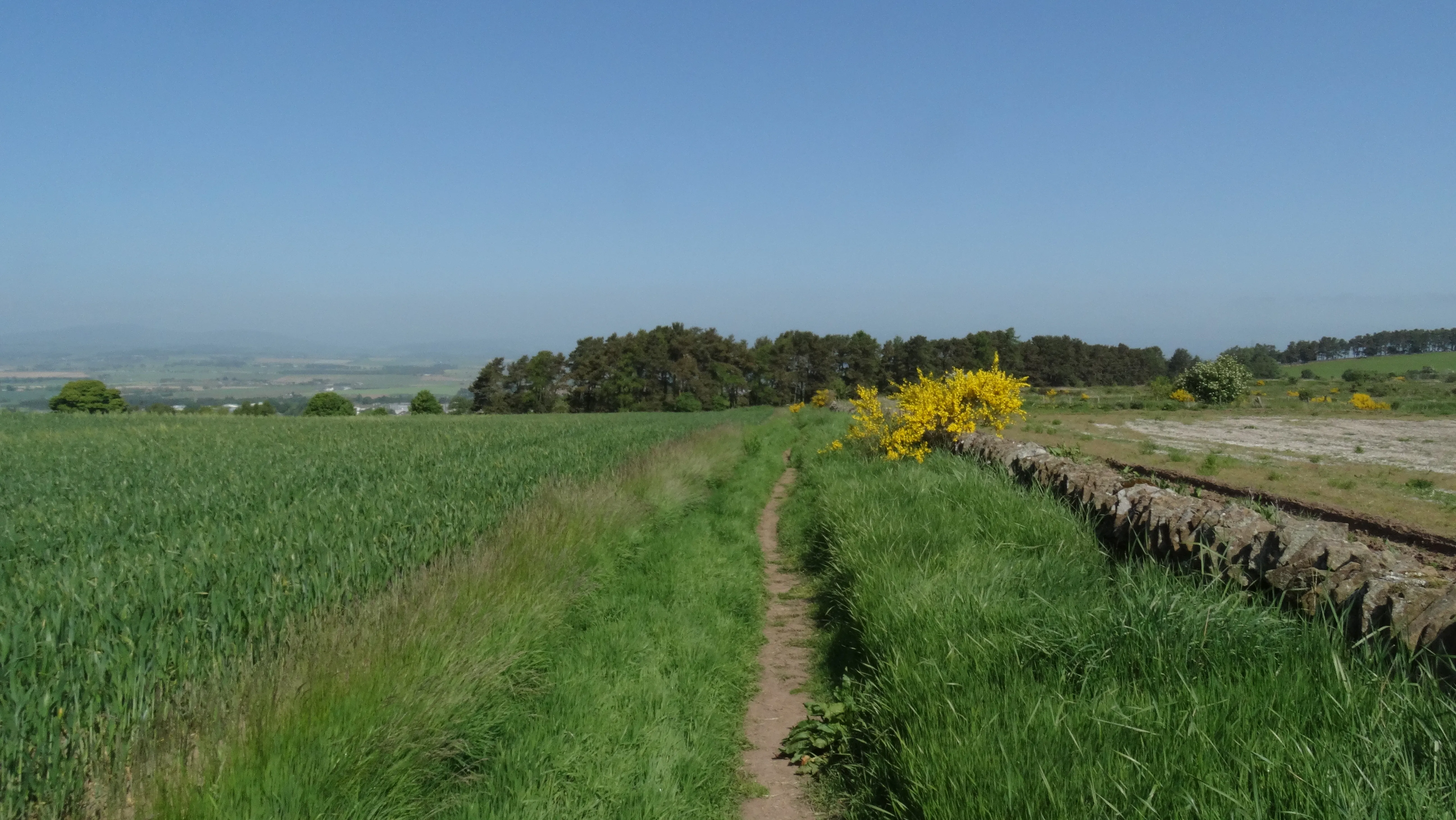 16-1020 060616 Path leading N towards Balmashanner Hill, Forfar