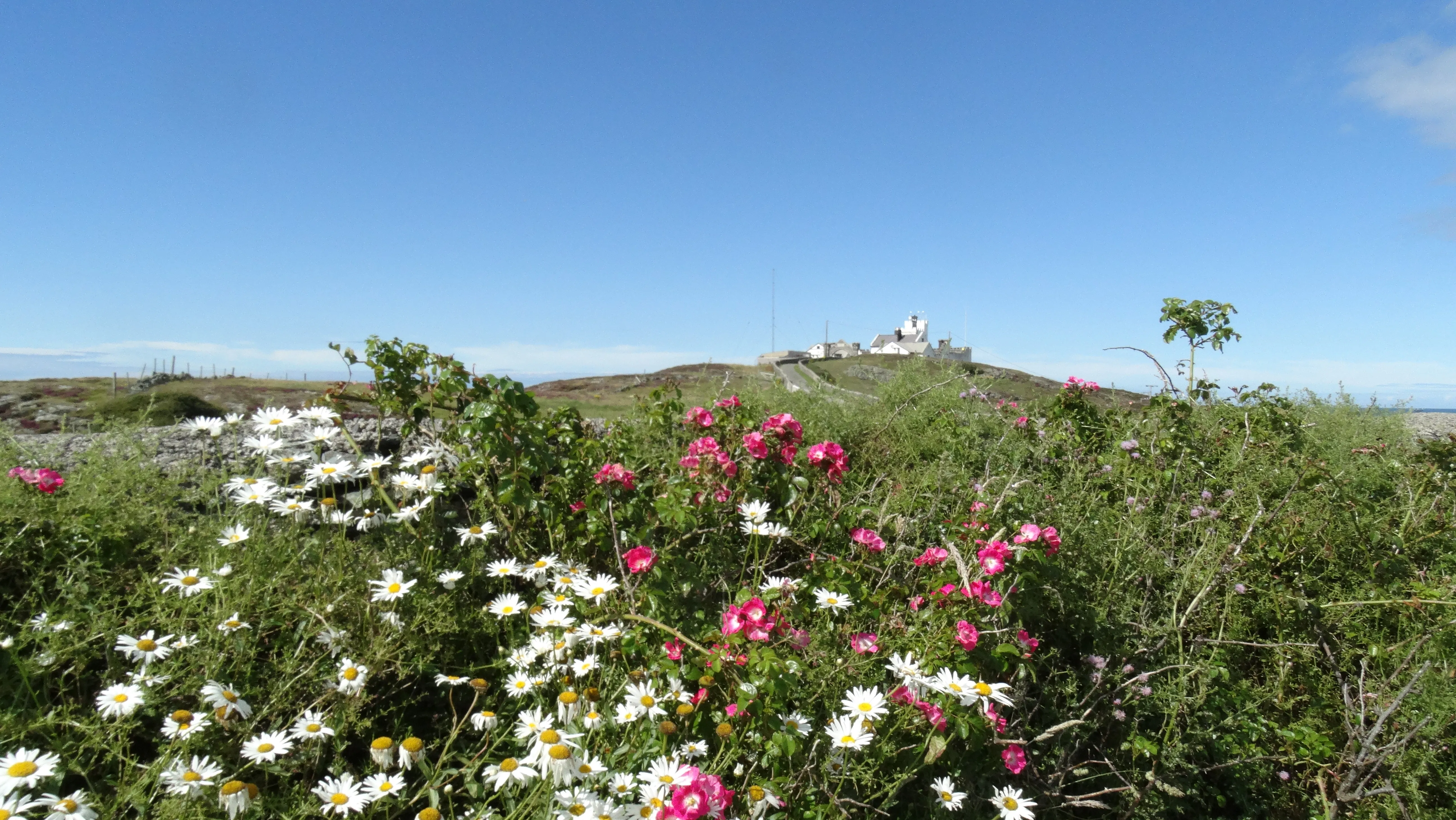 DSC02090