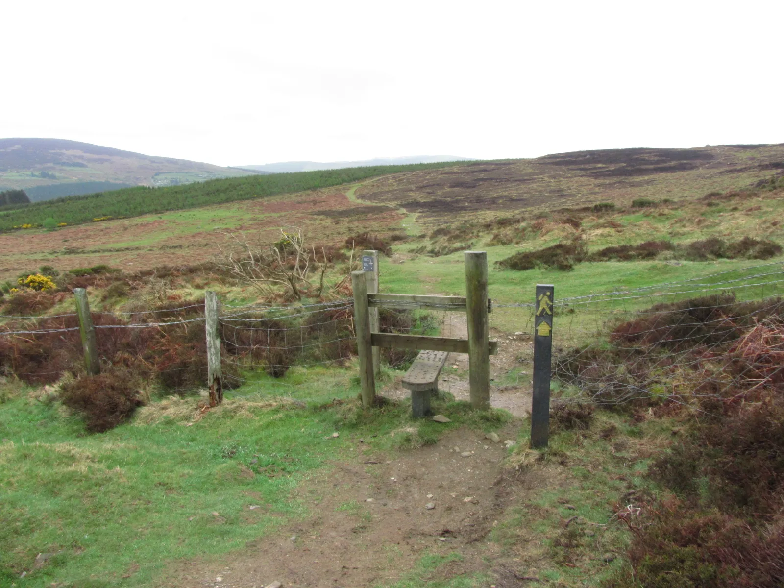 15-346 100515 The Wicklow Way - Path leading S towards Paddock Hill near Laragh