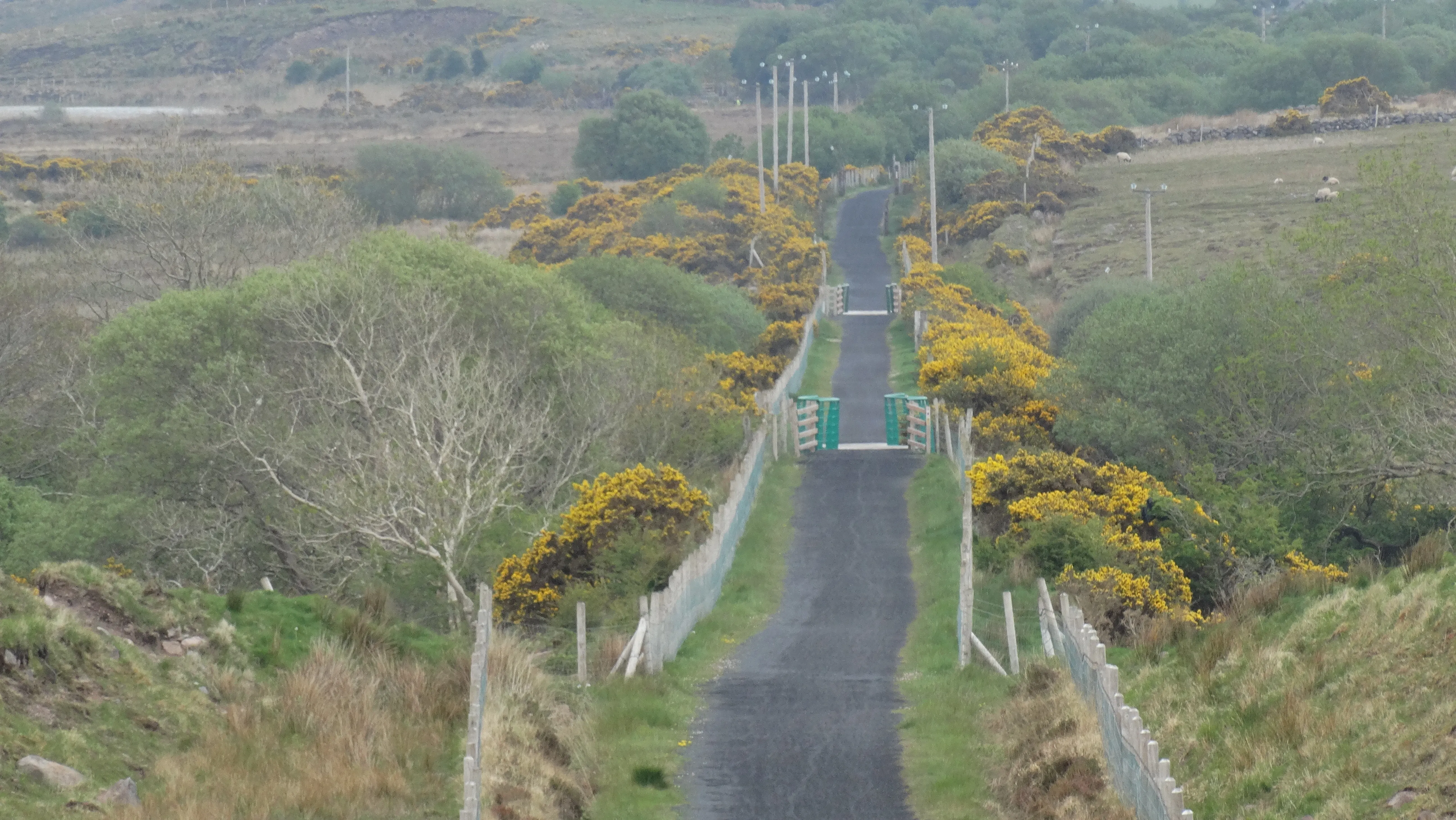 16-562 110516 The Great Western Greenway from overbridge N of Carrowsallagh, Co Mayo
