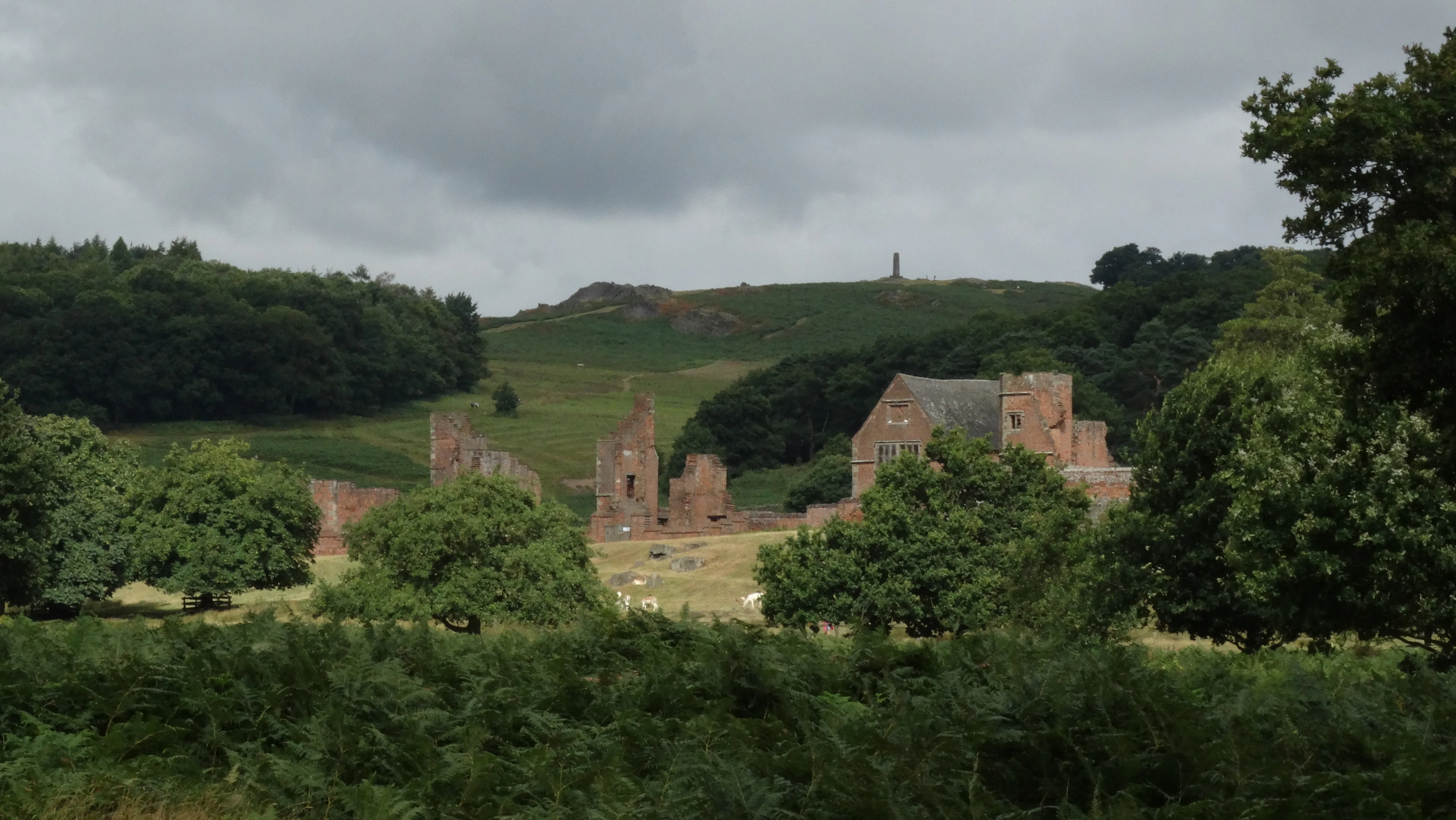 16-1452-210816-ruins-of-bradgate-bradgate-deer-park-leics