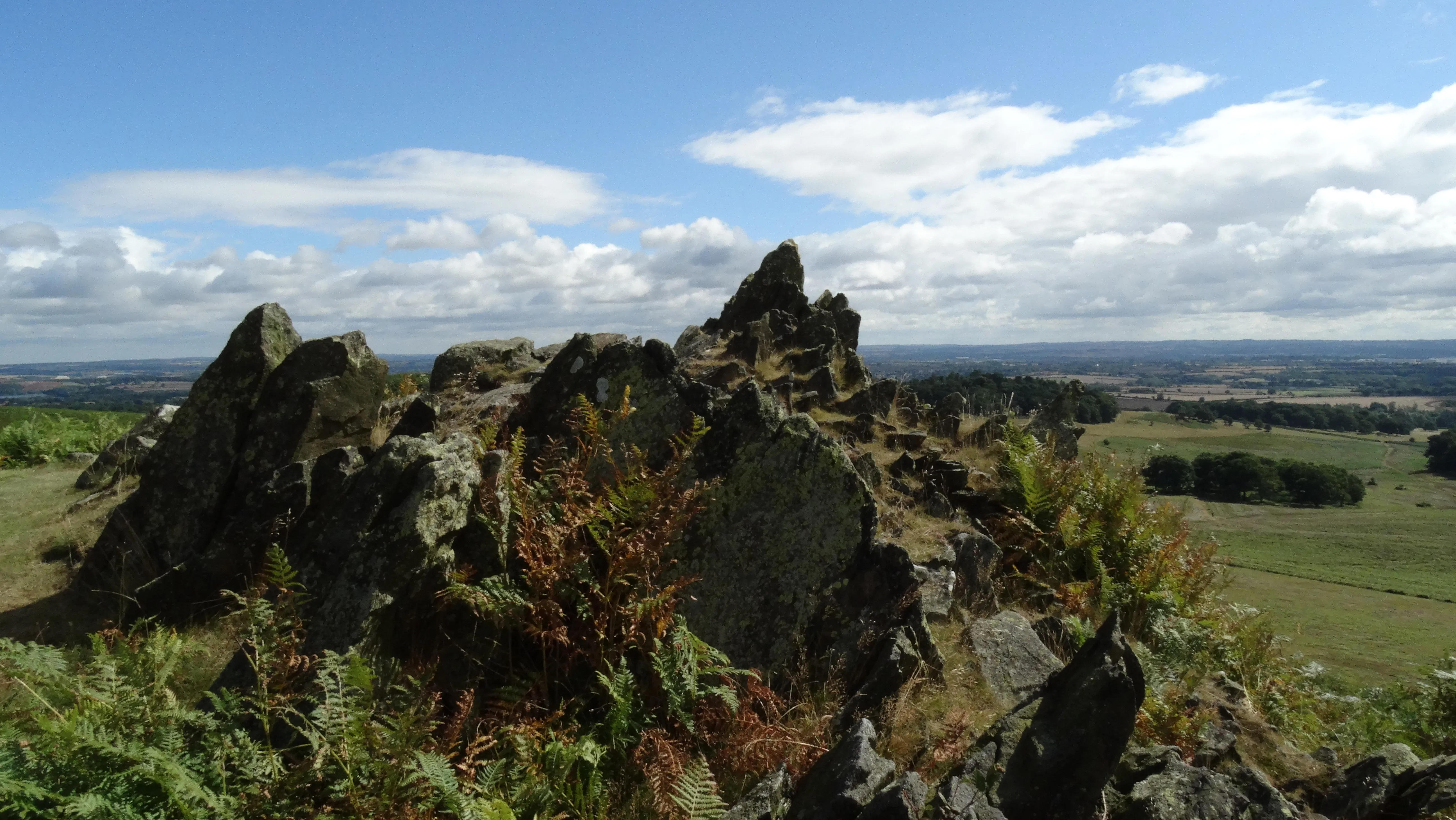 16-1457-210816-rock-outcrop-near-old-john-tower-bradgate-deer-park-leics