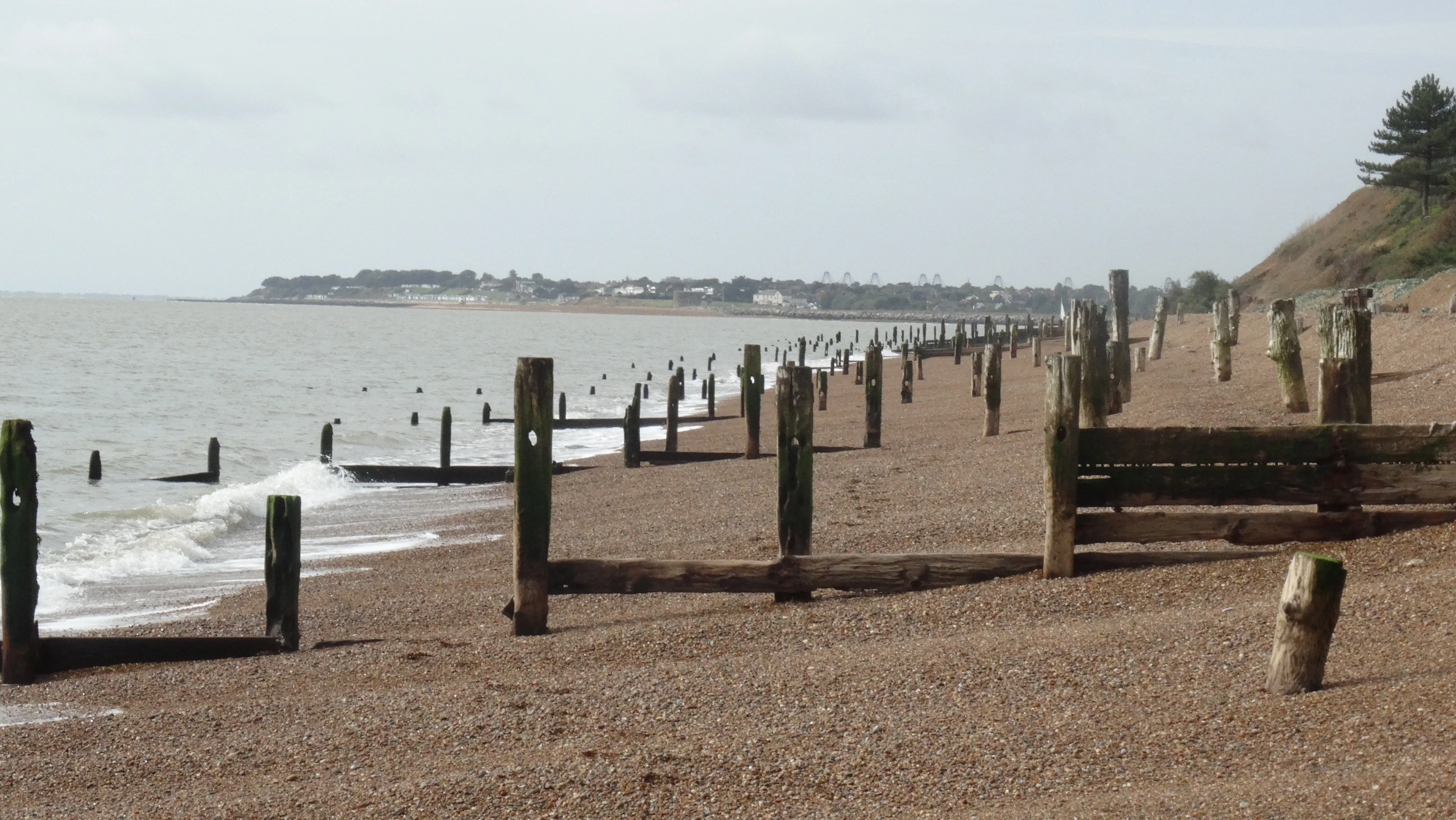 16-1686-260916-on-the-suffolk-coast-below-bawdsey-manor-old-groynes