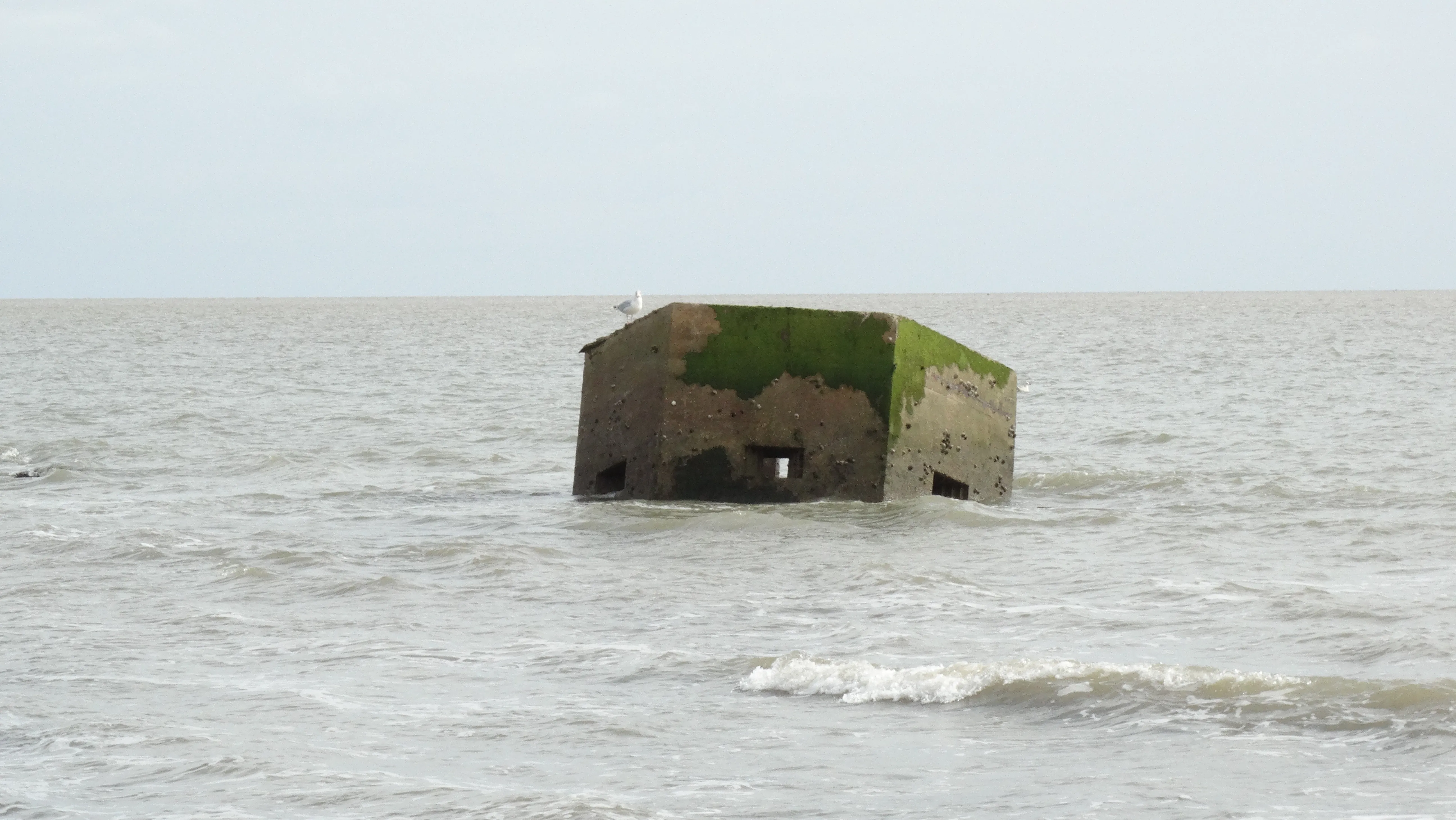16-1689-260916-on-the-suffolk-coast-at-bawdsey-pill-box-now-at-sea-as-a-result-of-erosion