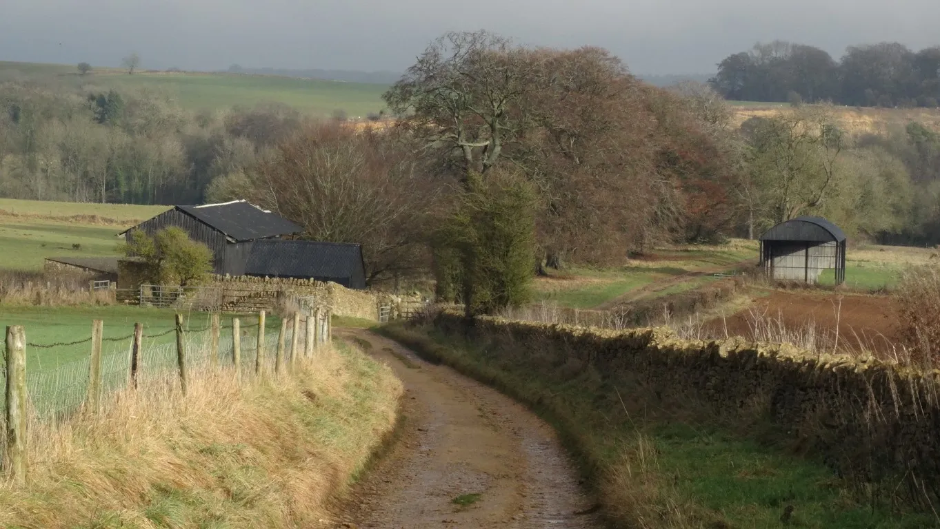 z16-2360-131216-on-cotswold-way-campden-lane-leading-towards-stumps-cross-medium