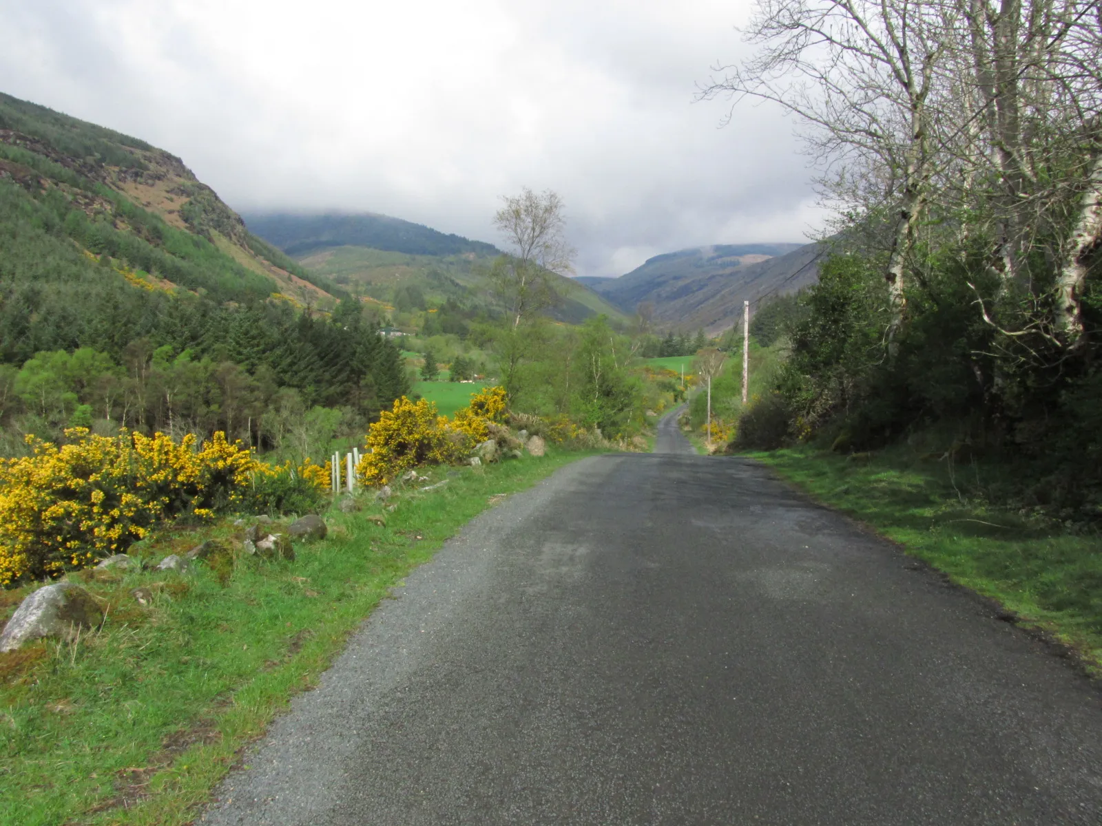15-297-090515-lane-running-nw-through-glenmalure