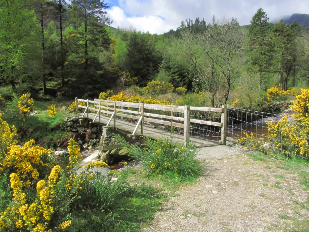 15-301-090515-footbridge-over-avonbeg-above-barravore-car-park-glenmalure