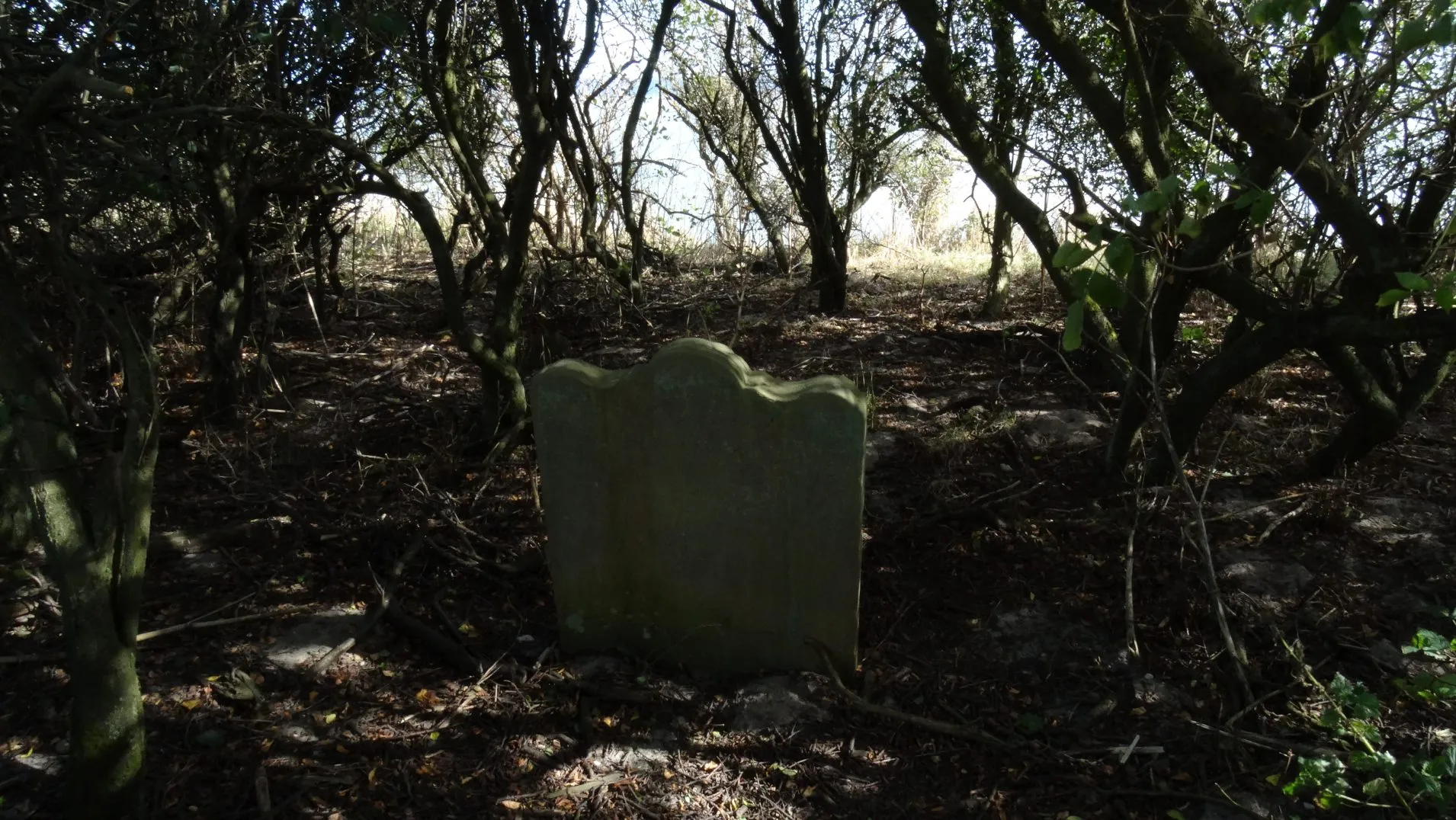 16-1765-300916-the-last-grave-from-all-saints-church-dunwich
