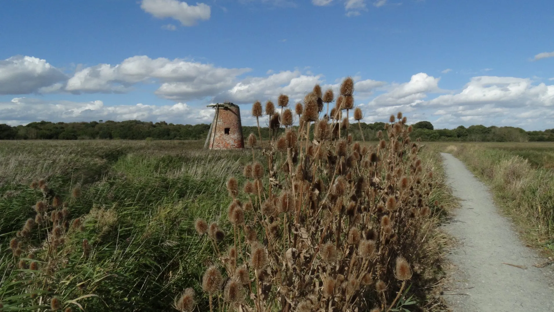 16-1774-300916-on-the-suffolk-coast-path-across-the-oldtown-marshes-near-walberswick-old-windpump