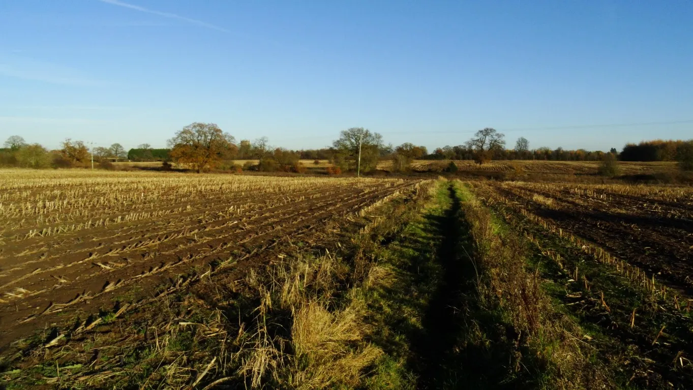 16-2288-281116-field-path-between-chester-rd-acton-ravens-ln-medium