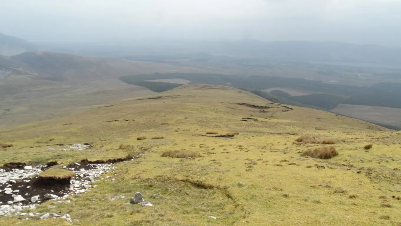 The ridge running east south east from Birreen Corrough Beg is like walking on a deep pile carpet.