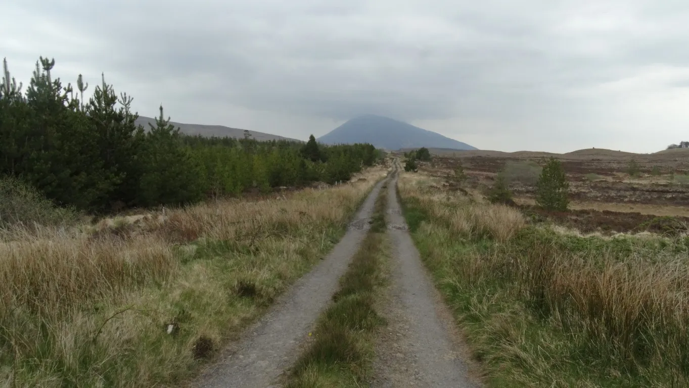 Its a long way back as this track heads towards the bold outline of Nephin, the second highest mountain in Connacht.