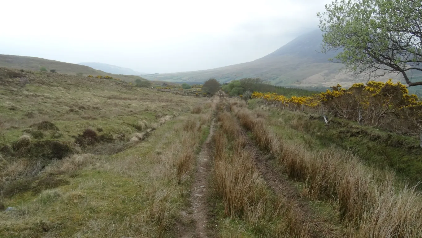 A rough moorland track forms part of the way marked Keenagh Loop towards the end of my walk.
