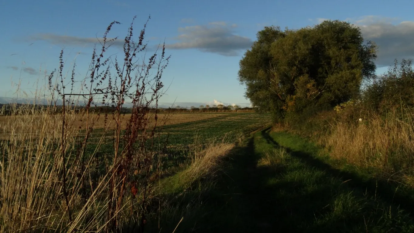 There is something special about the last hour of daylight. The sun is low to the west and the shadows are lengthening as I follow this track across farmland towards Gretton.