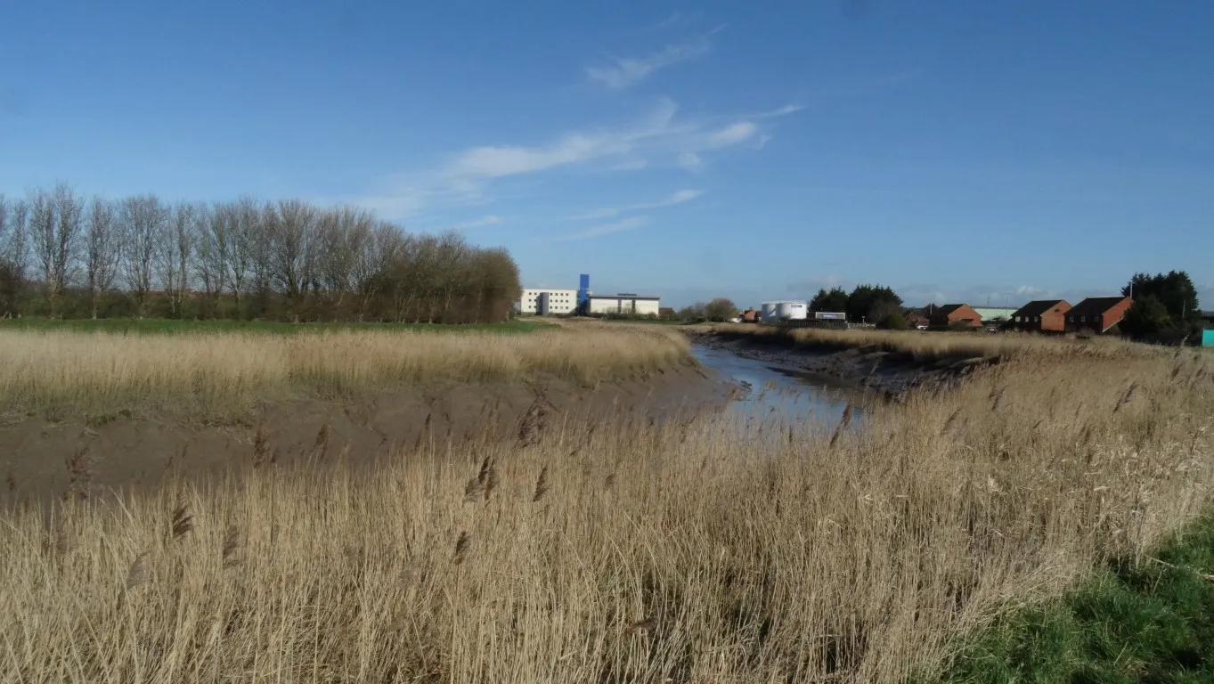 The River Parrett north of Bridgwater. Still fairly narrow. On the opposite bank is the River Parrett Trai - another recreational path.