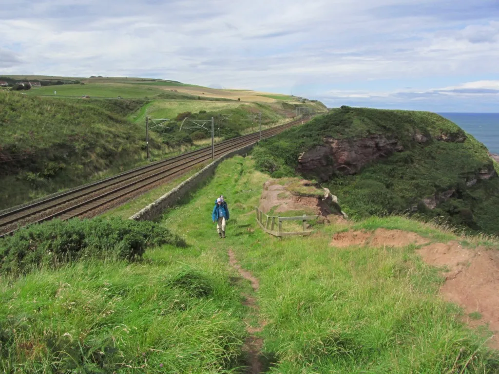The Berwickshire Coastal Path hemmed in between the railway and the cliffs above Lamberton Beach makes for several miles of good coastal walking.