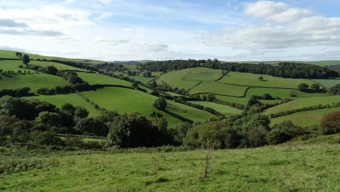 A green patchwork of fields is so typical of this area around the Teme Valley northwest of Knucklas.