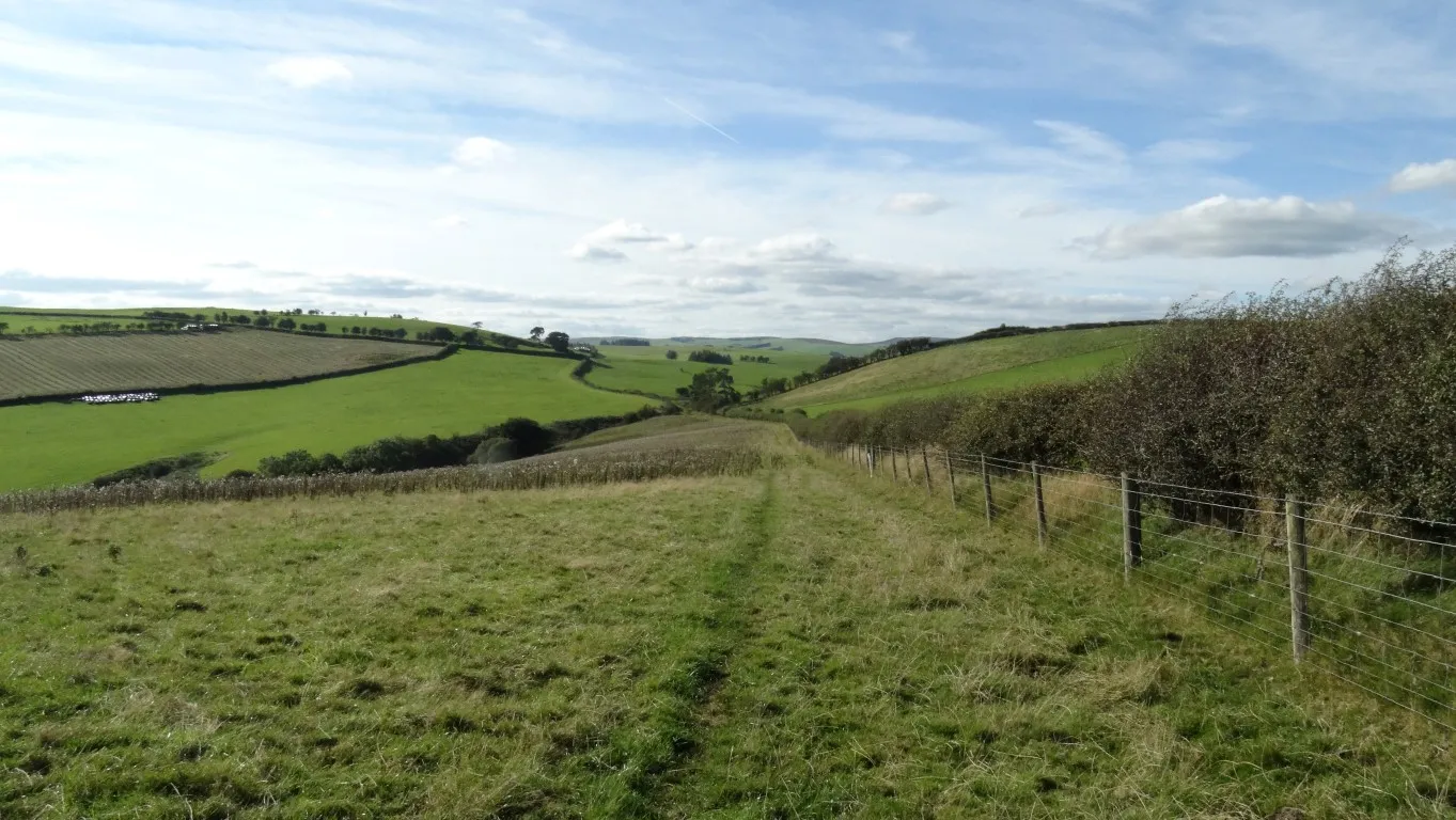 A section of the Glyndwrs Way with the view towards Bailey Hill.