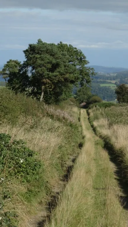 The long track descending towards Knighton on a fine September afternoon.