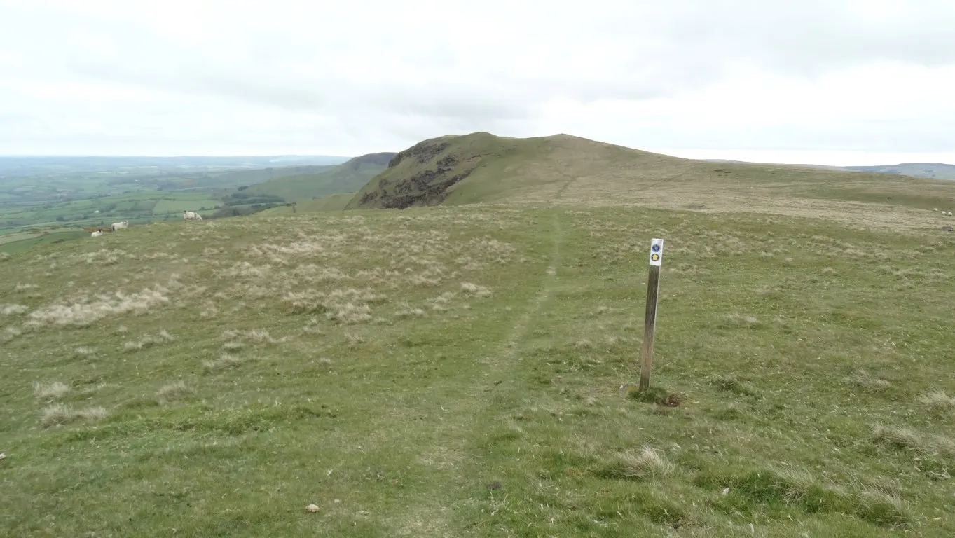 Frequent waymarkers keeps you on the right route for several miles of hill top walking. Scawt Hill is in the distance. the rare mineral Scawtite takes its name from this hill where it was first found.