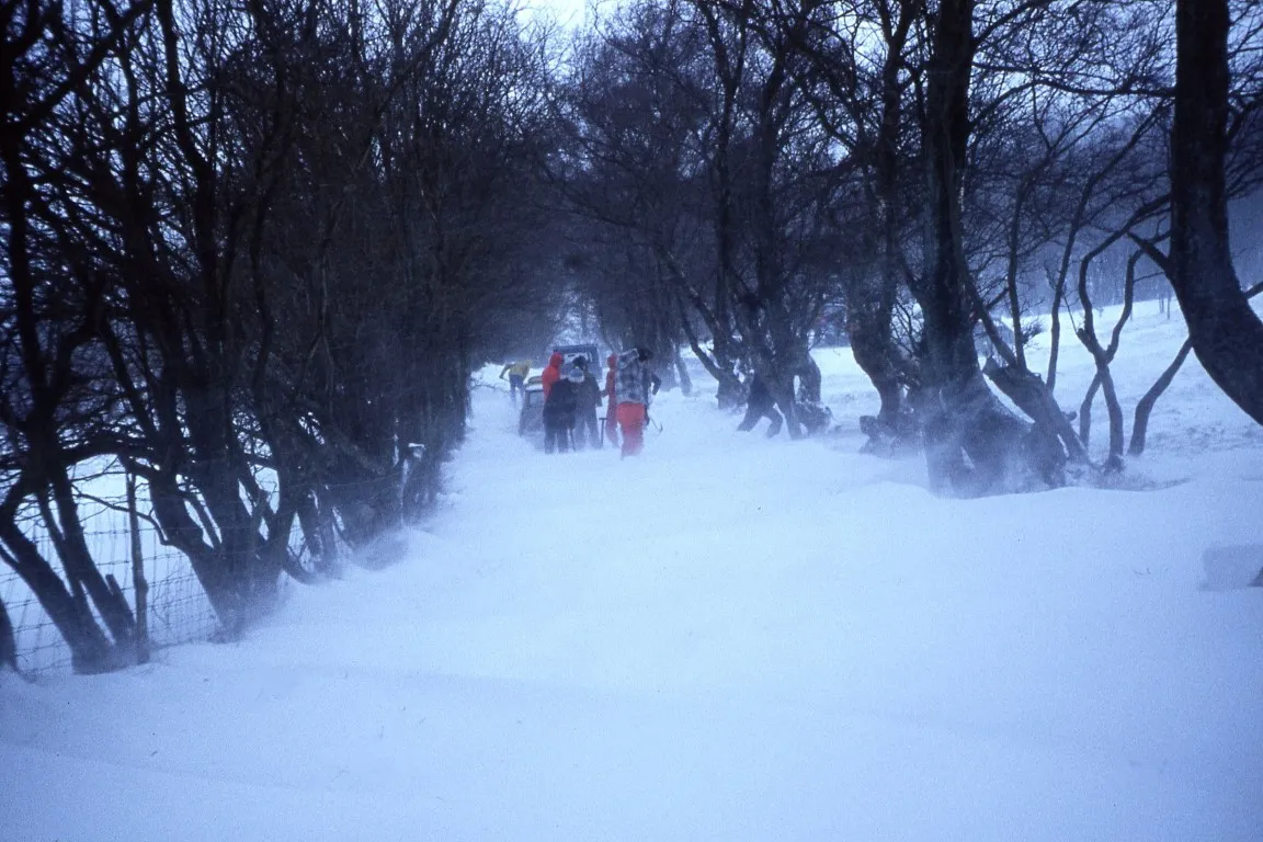 The driveway up from Llwyn Celyn Youth Hostel. A mammoth task ahead of clearing the driveway.
