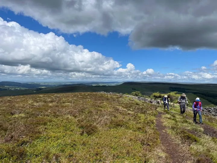 Cheshire Plain