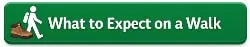 what to expect on a walk