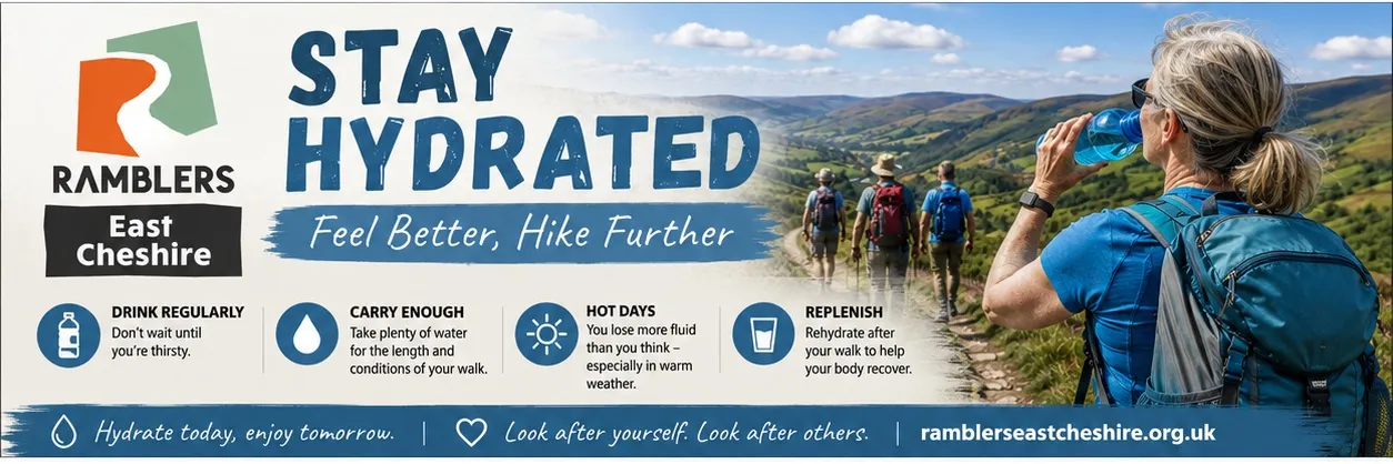 stay hydrated